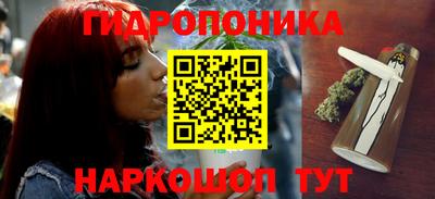 ГАЛЛЮЦИНОГЕННЫЕ ГРИБЫ Кинель