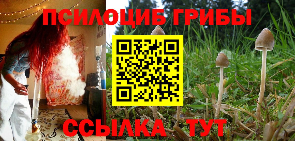 Галлюциногенные грибы прущие грибы Коммунар
